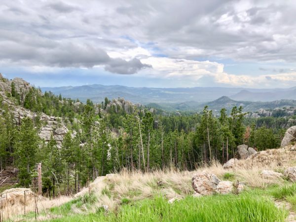 Needles Highway