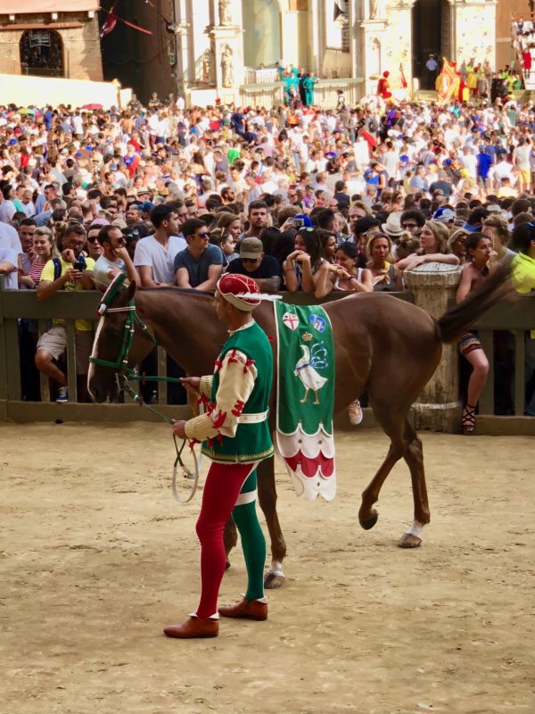 The Palio