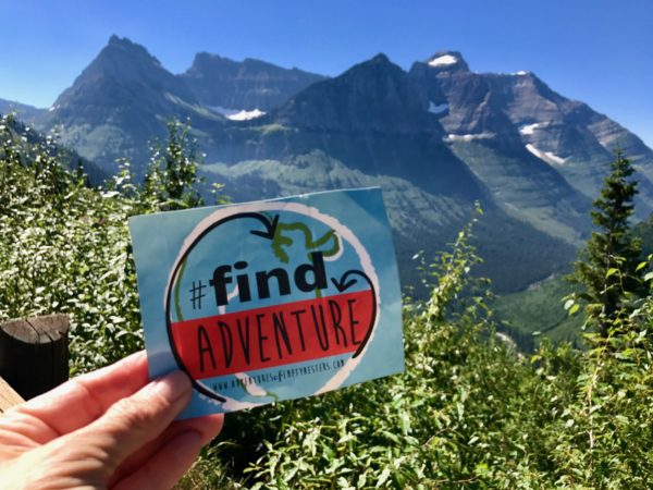 views of Glacier national park