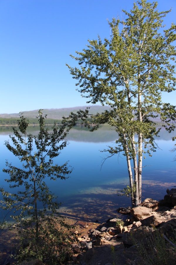 views of Glacier National Park