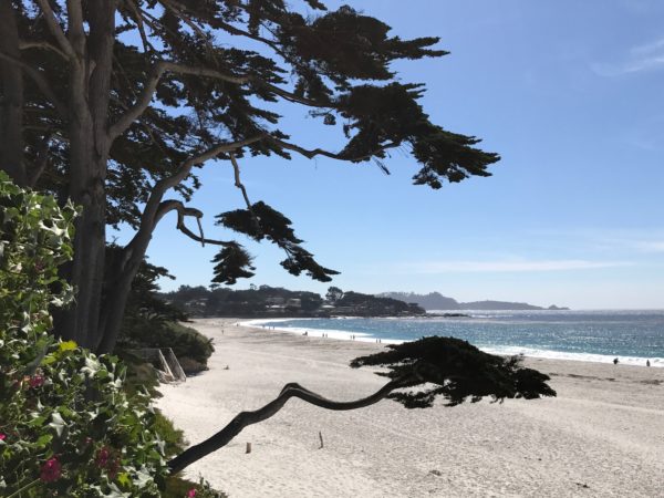 The Hyatt Carmel Highlands