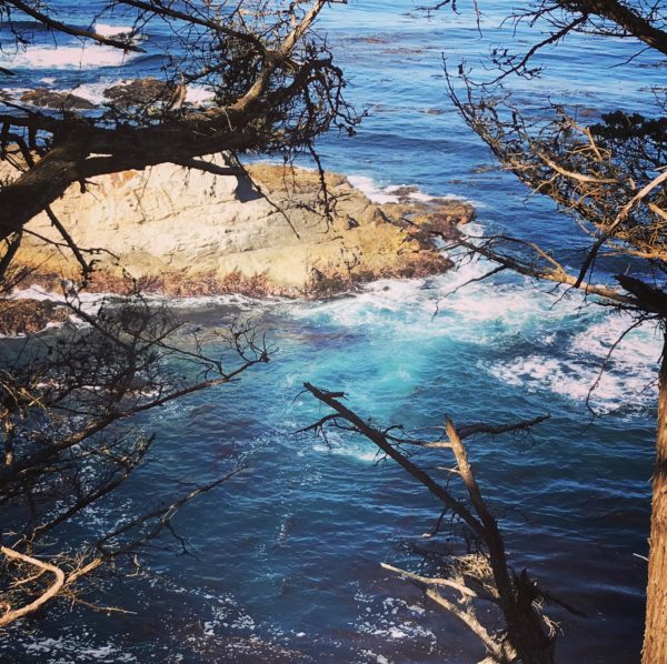 The Hyatt Carmel Highlands