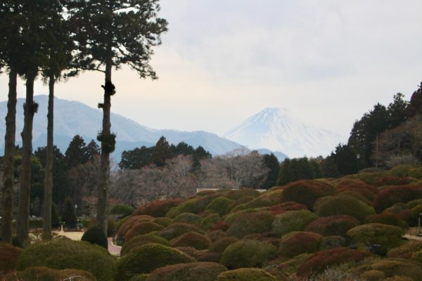 tour of Japan