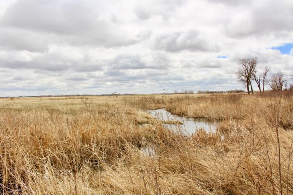 trip to Nebraska