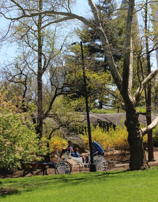 Spring in New York