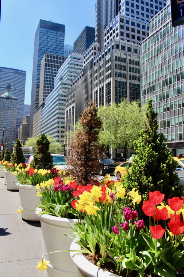 Spring in New York