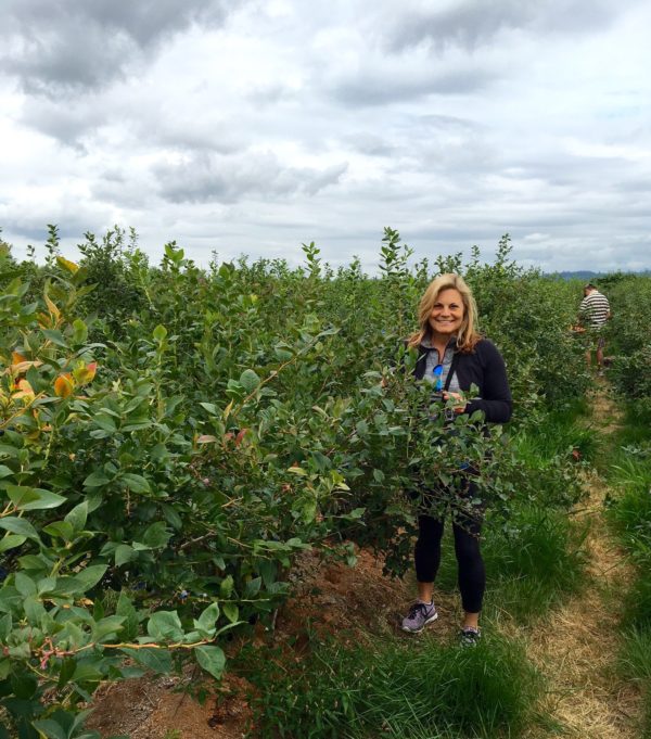 blueberry picking in Seattle