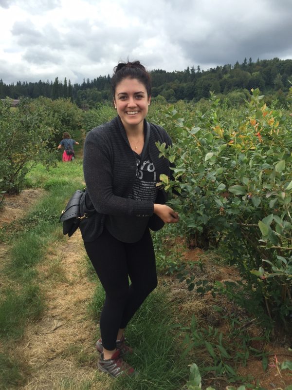 blueberry picking in Seattle