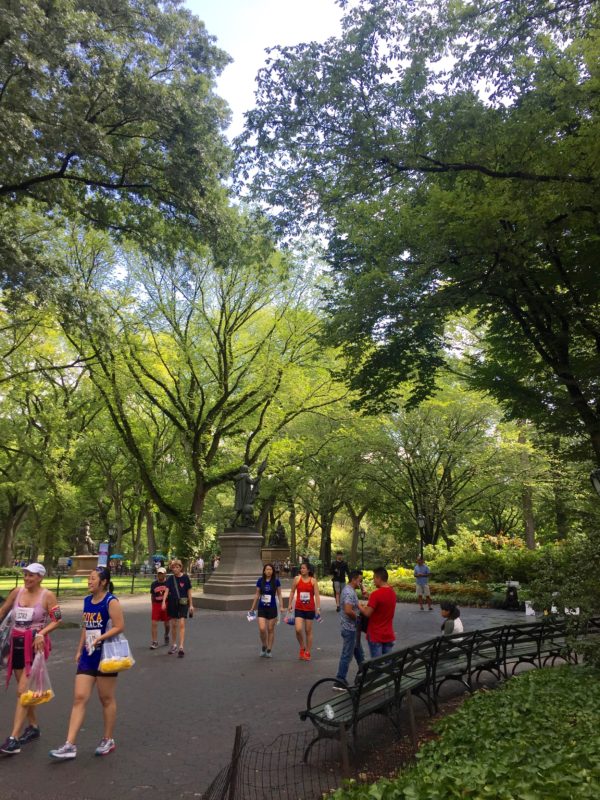 a walk through Central Park