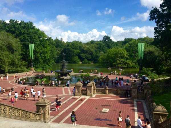 a walk through Central Park