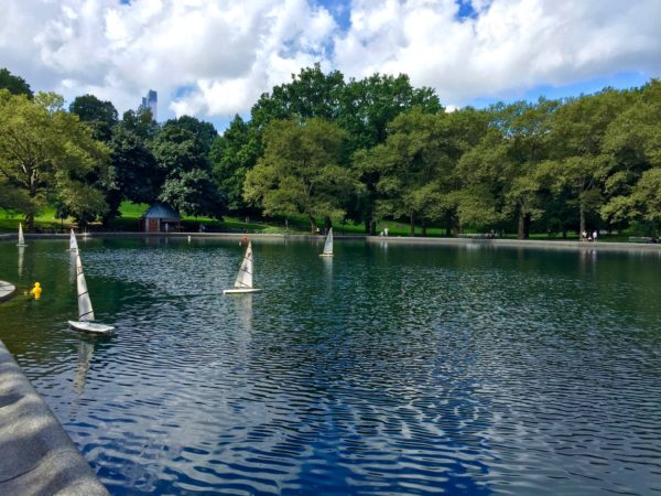 a walk through Central Park