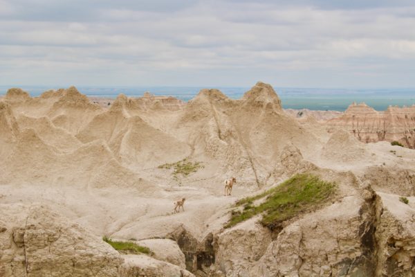 road trip through South Dakota