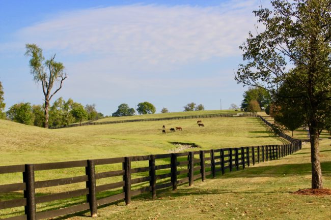 trip to the Bourbon Trail