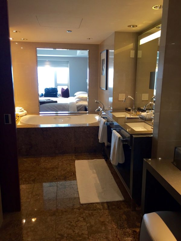 Park Hyatt Chicago Water Tower Suite Bathroom