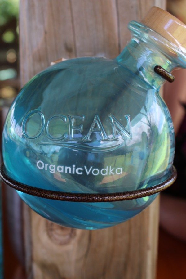 Ocean Organic Vodka Bottle