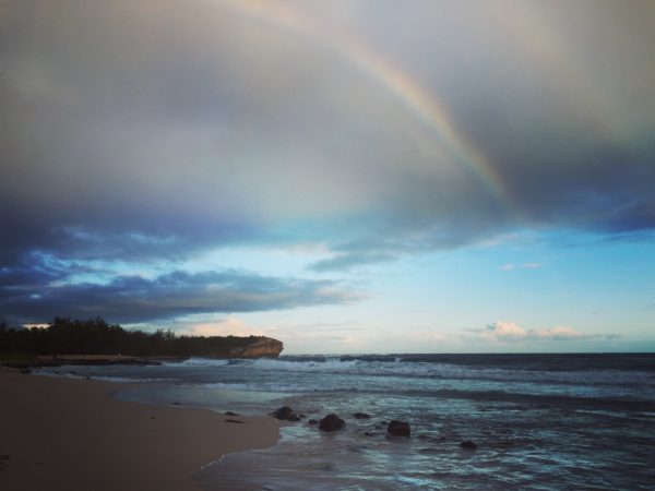 day trip in kauai