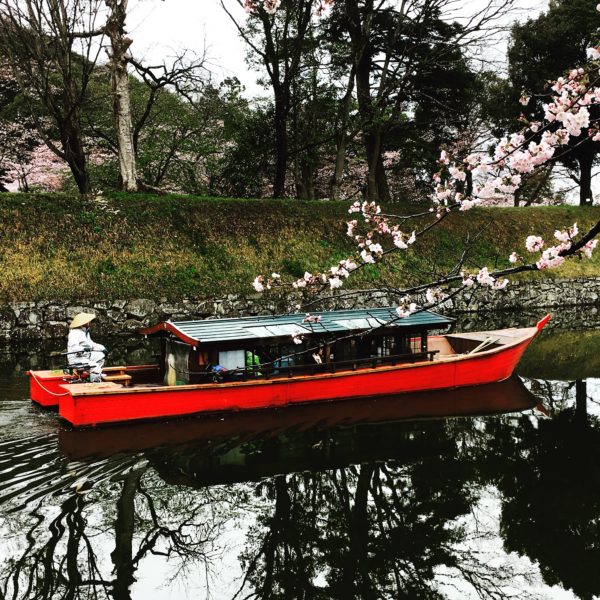 walking through Japan