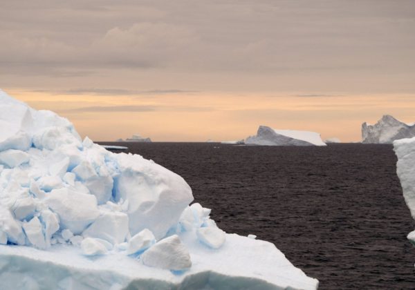 adventure in Antarctica