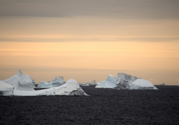 adventure in Antarctica