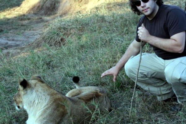 lion encounter 09 pieter told me to do it