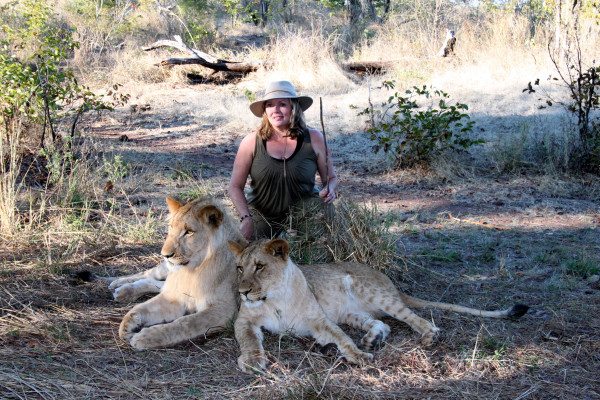 lion encounter 09 tam and the lions