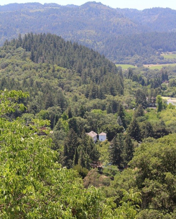 A view of Napa Valley