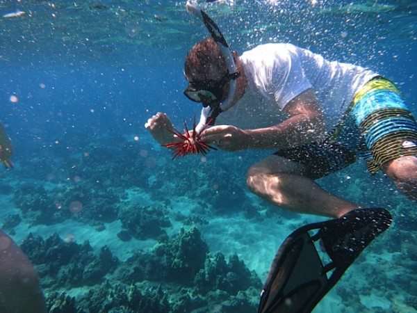 snorkelcraig