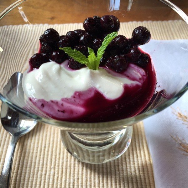 bed and breakfast yogurt with blueberries