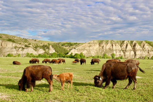 travel highlights in North Dakota