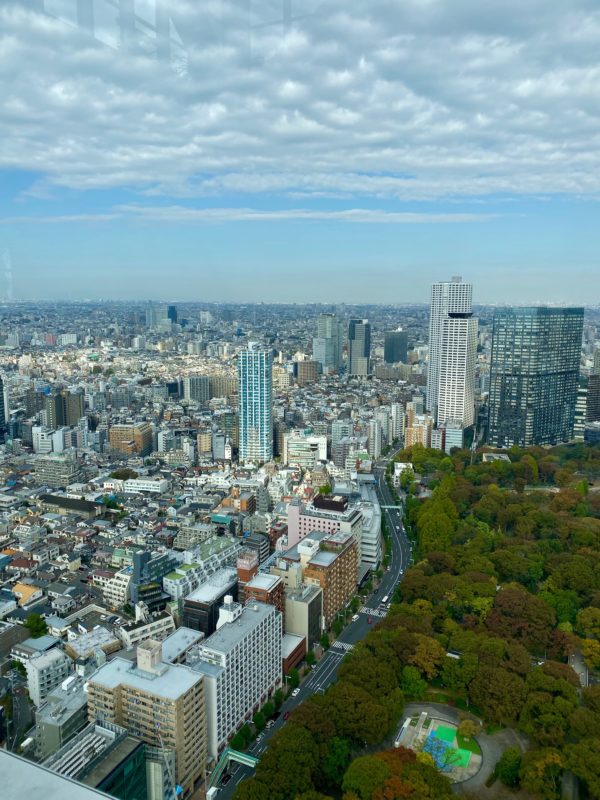 stay at Park Hyatt Tokyo