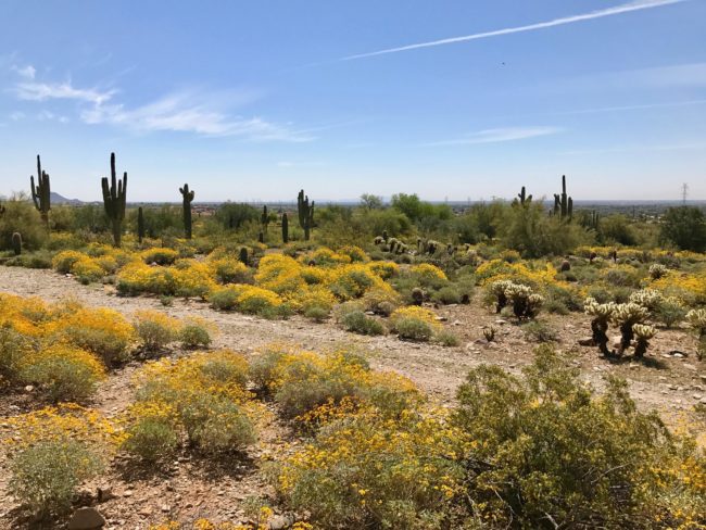 getaway to Phoenix