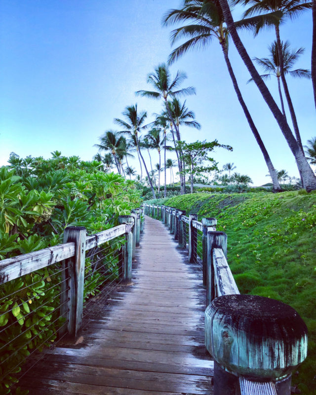 a walking path in Maui