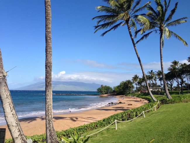 Get Everything You Need for your Maui Staycation!