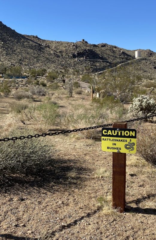 visit to Joshua Tree National Park