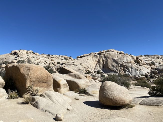 a visit to Joshua Tree National Park