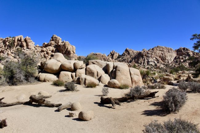 visit to Joshua Tree National Park