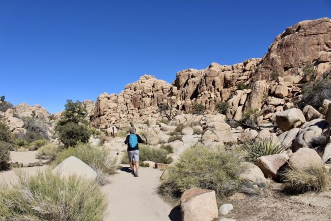 visit to Joshua Tree National Park