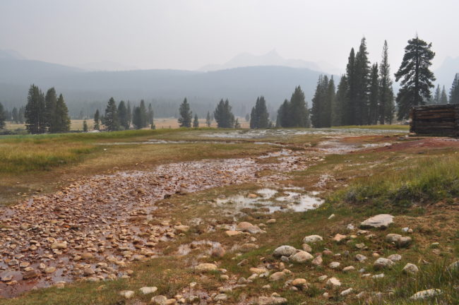 Tuolumne Meadows