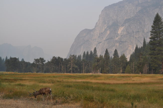 weekend in Yosemite