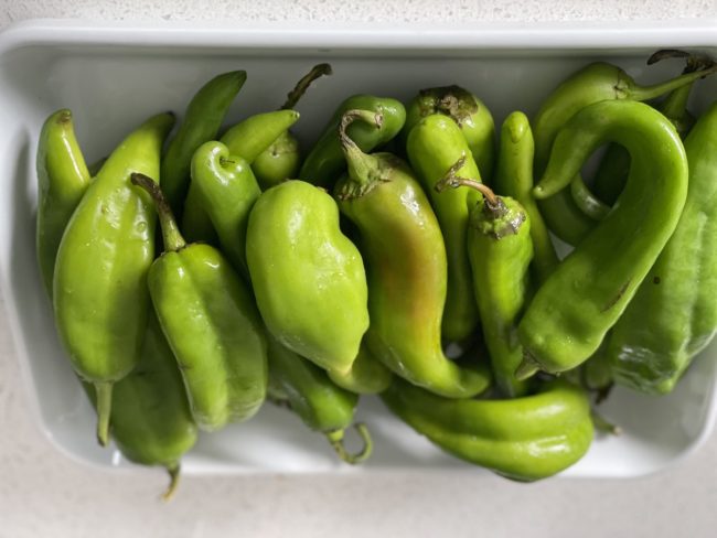 Hatch Chile Season