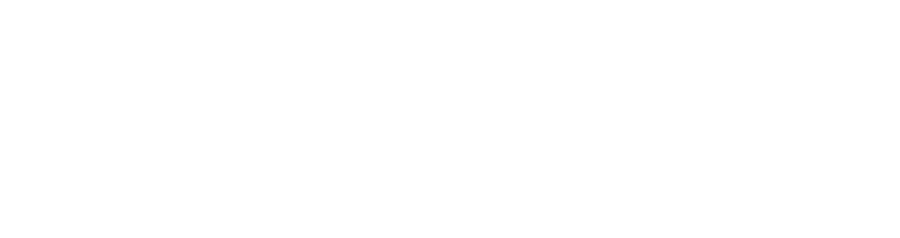 travel-connections-tours-logo-white-rgb-900px-w-72ppi